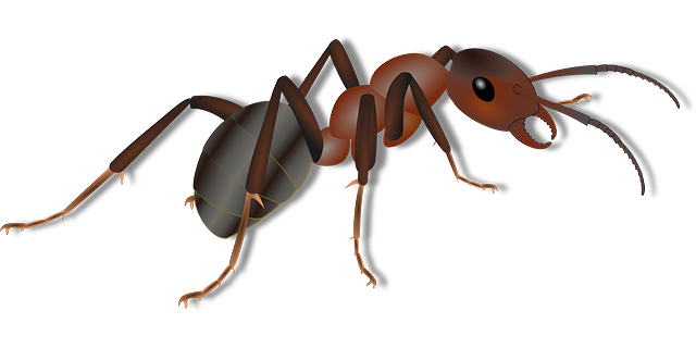 kreslený mravenec