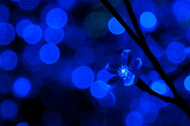 modrá dioda ve tvaru květu.jpg